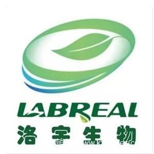心衰模型